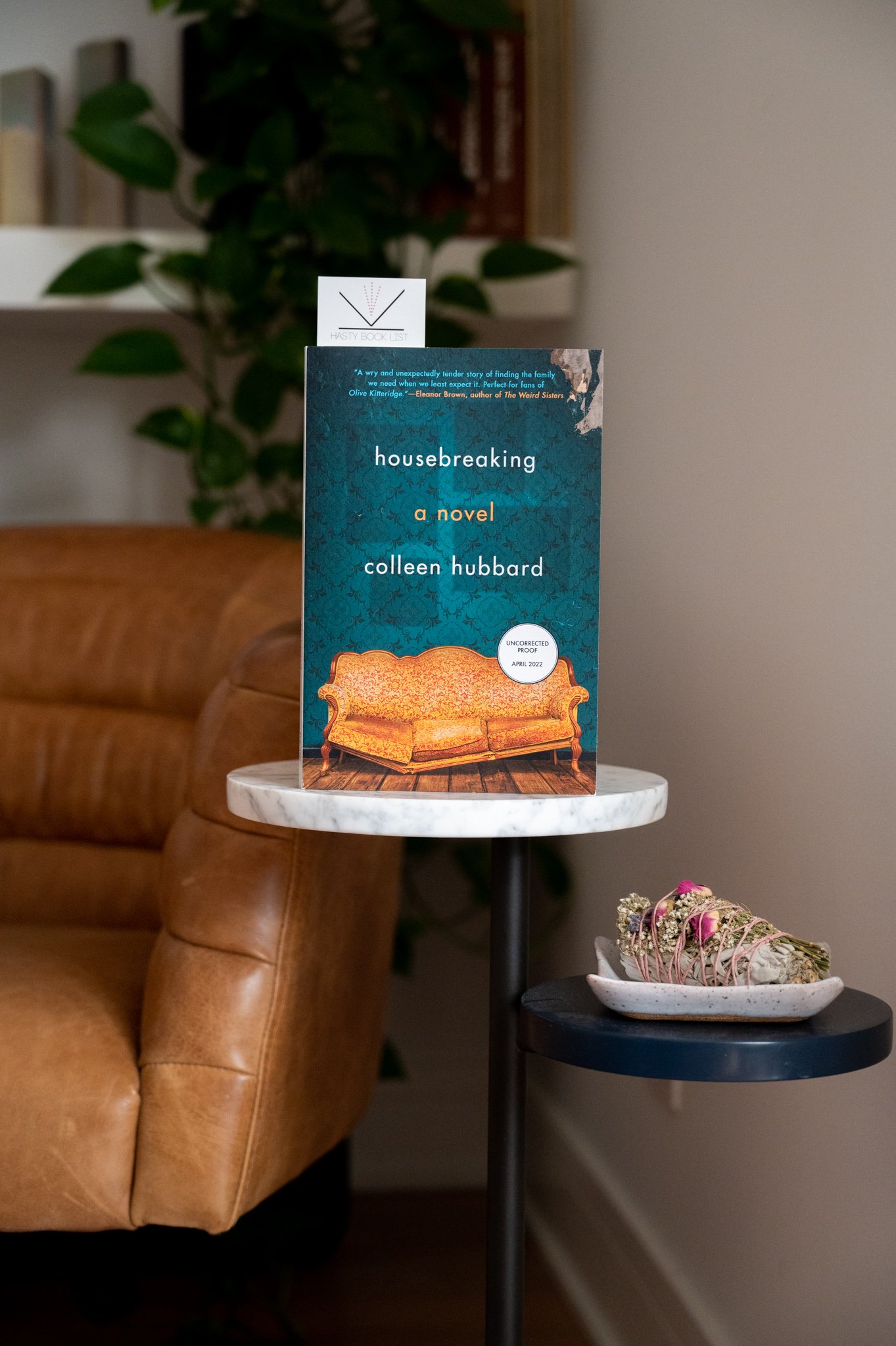 Book Feature Housebreaking by Colleen Hubbard Book Review Hasty