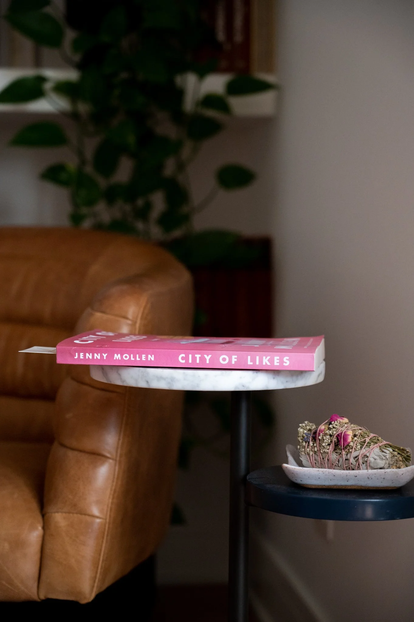 Book Feature City of Likes by Jenny Mollen