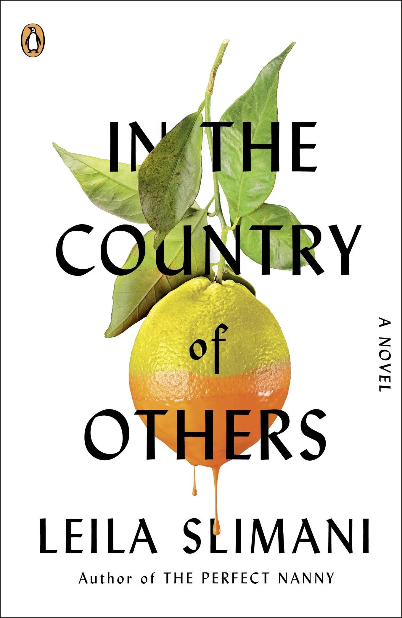 Book Jacket Designs by Julianna Lee Book Review Hasty Book List