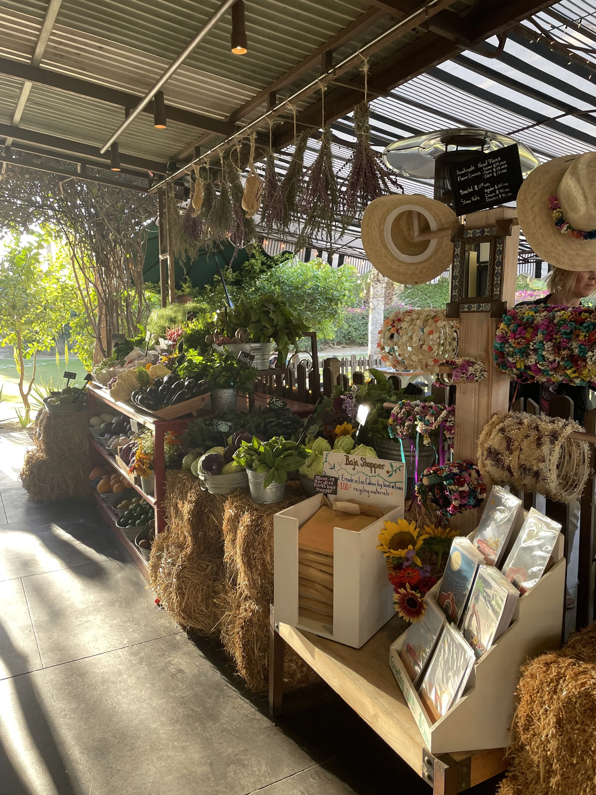 My Favorite Local Shops in Los Cabos