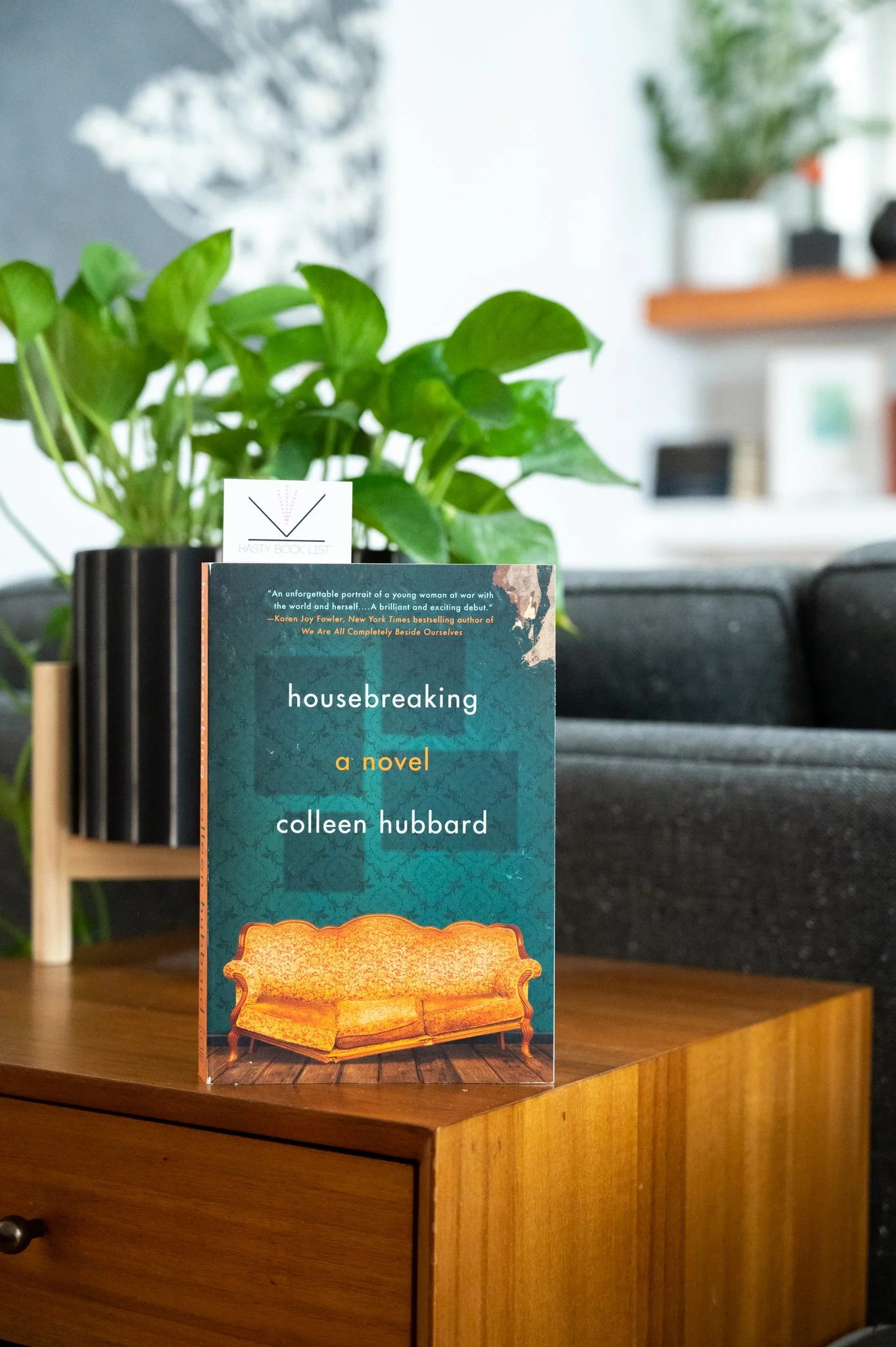 Book Feature Housebreaking by Colleen Hubbard Book Review Hasty