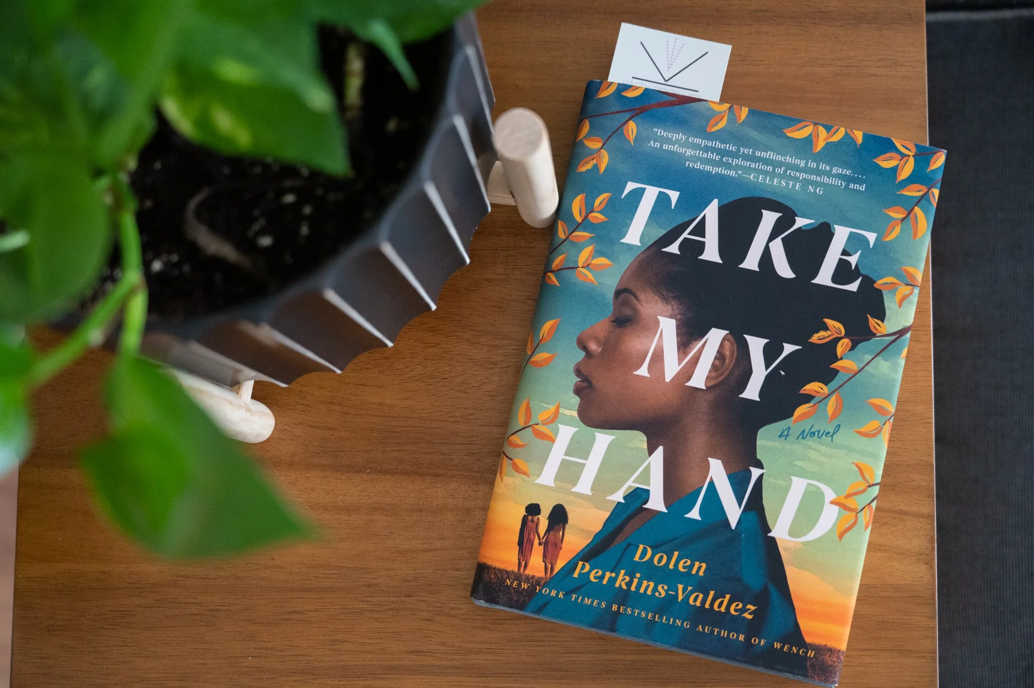 Book Feature Take My Hand by Dolen PerkinsValdez Book Review Hasty Book List