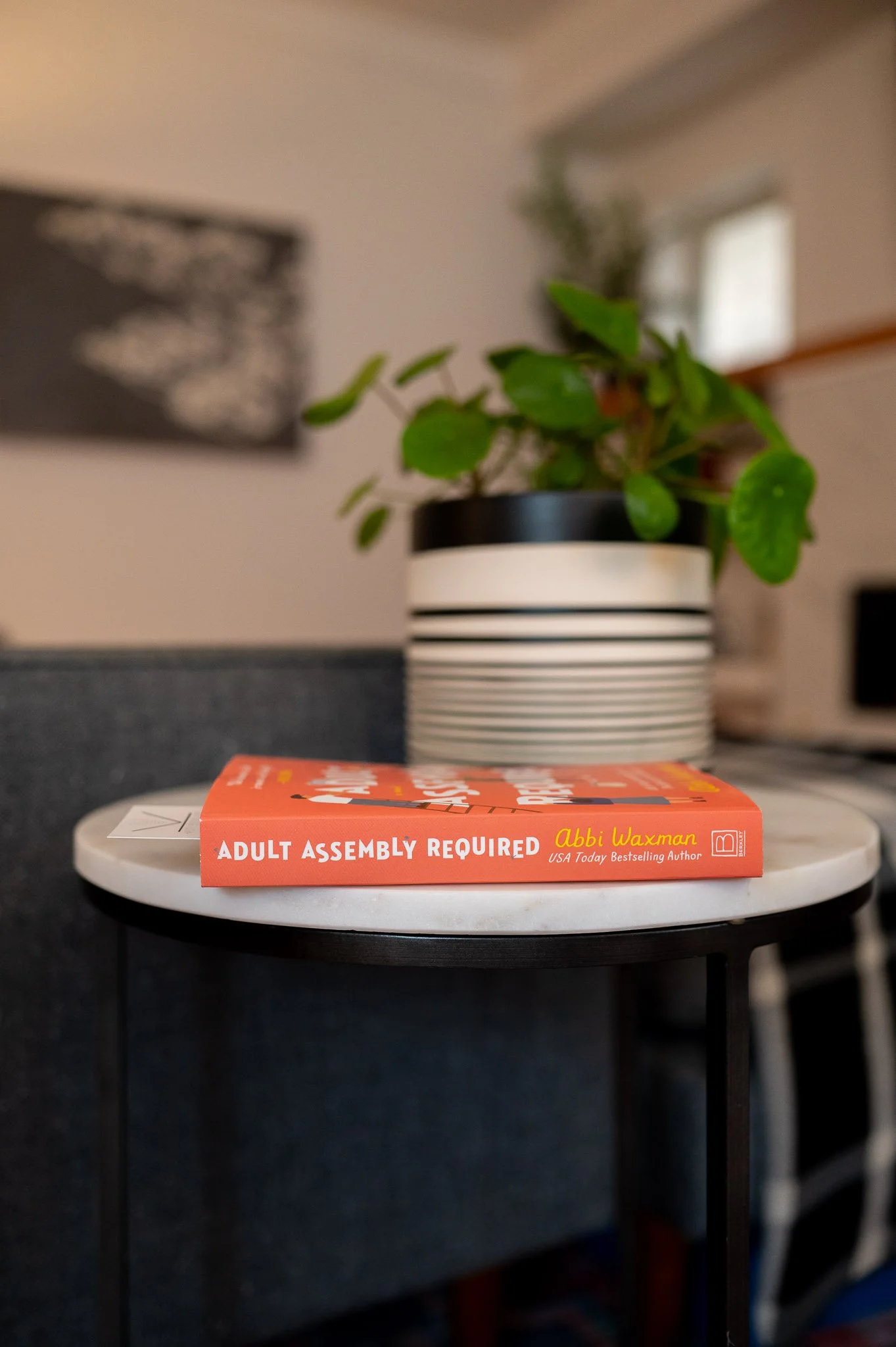 Book Feature Adult Assembly Required by Abbi Waxman Book Review