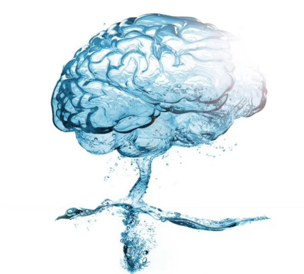 Water brain.jpg