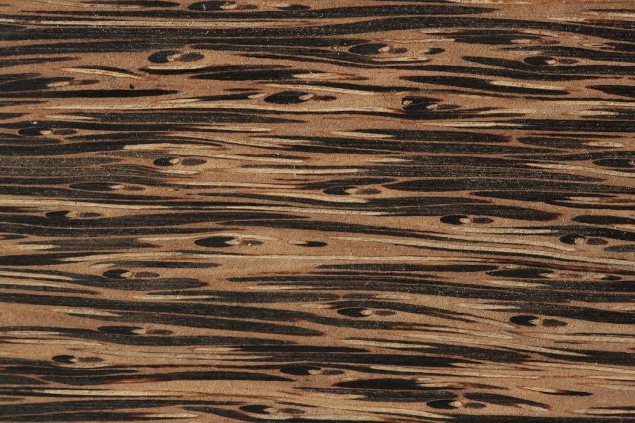 Palmier noir
