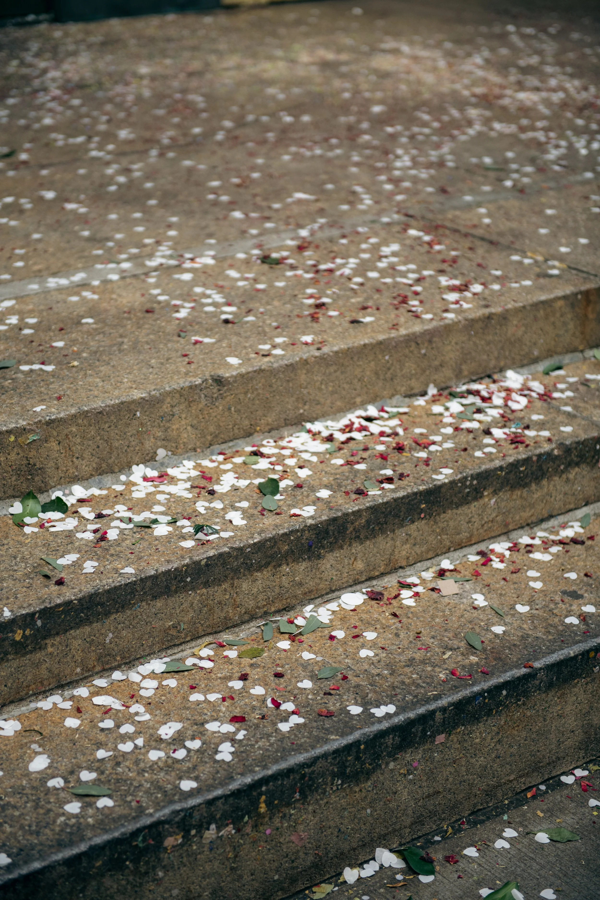 DSC_3960.jpg
