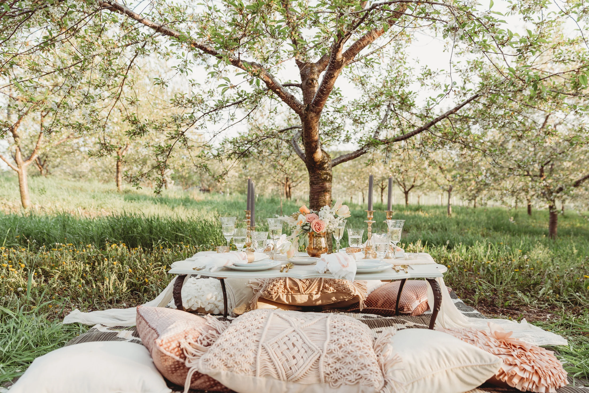 Elopement+Wedding+in+the+Cherry+Blossoms+Rove+Estate+Vineyard+%26+Winery+Traverse+City+MI+Captured+By+Grace+Photography-2755.jpg