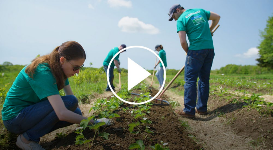 Sharing the Harvest is a volunteer-driven community farm that provides local families with sustainable, locally grown, organic produce to fight food insecurity in our communities.