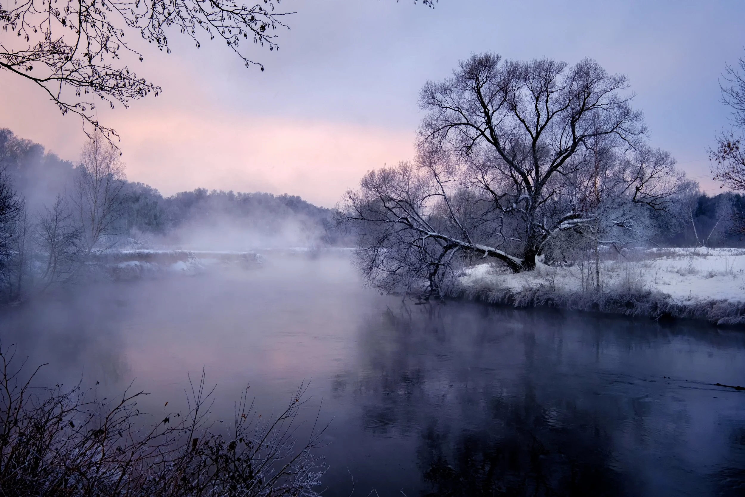 Stiller Wintersee mit leichtem Nebel und schneebedeckten Bäumen – Symbol für Ruhe und Regeneration im Januar