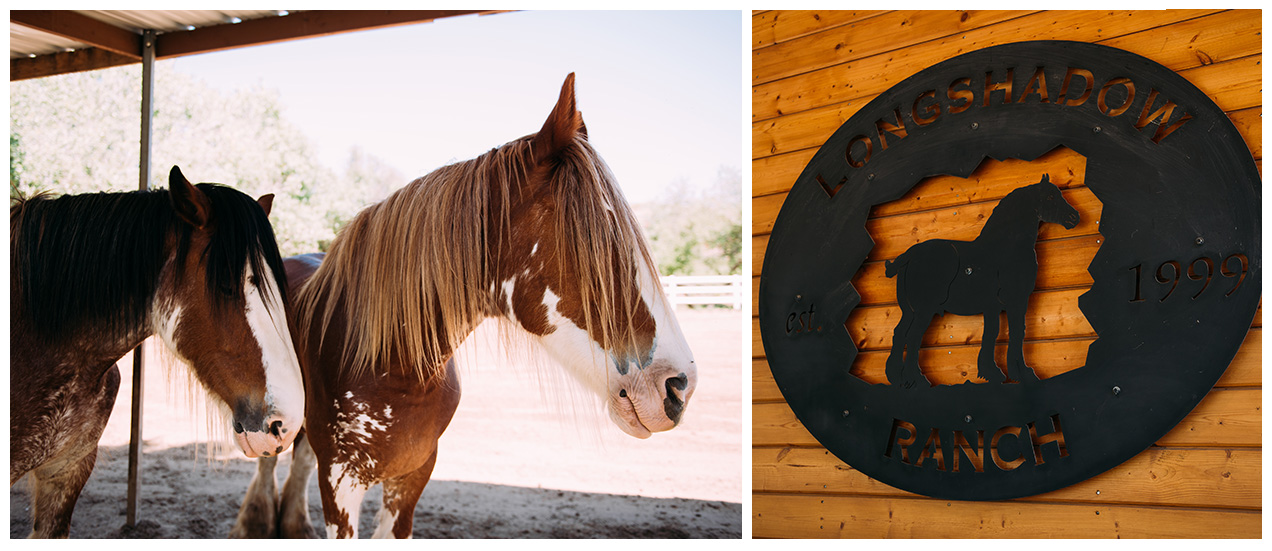 AS_Long_Shadow_Ranch_Temecua_Wedding-2.jpg