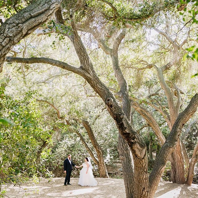 Alright Monday, Let&rsquo;s do this. 
Started the week off with sleeping in a bit to treat myself. Enjoying a nice coffee and reminiscing about this dreamy ceremony location right here in OC.
Venue: Oak canyon Nature Center 
Planner @e.c.events
Photo