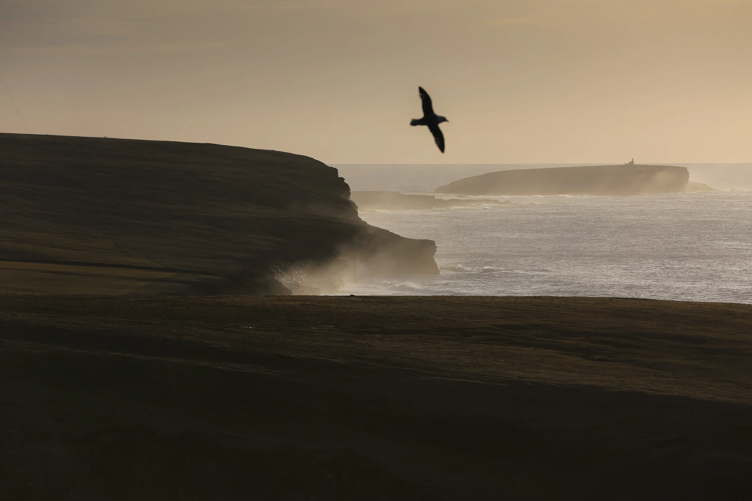 The dramatic coastline of the north west Orkney mainland, looking south towards the Brough of Birsay