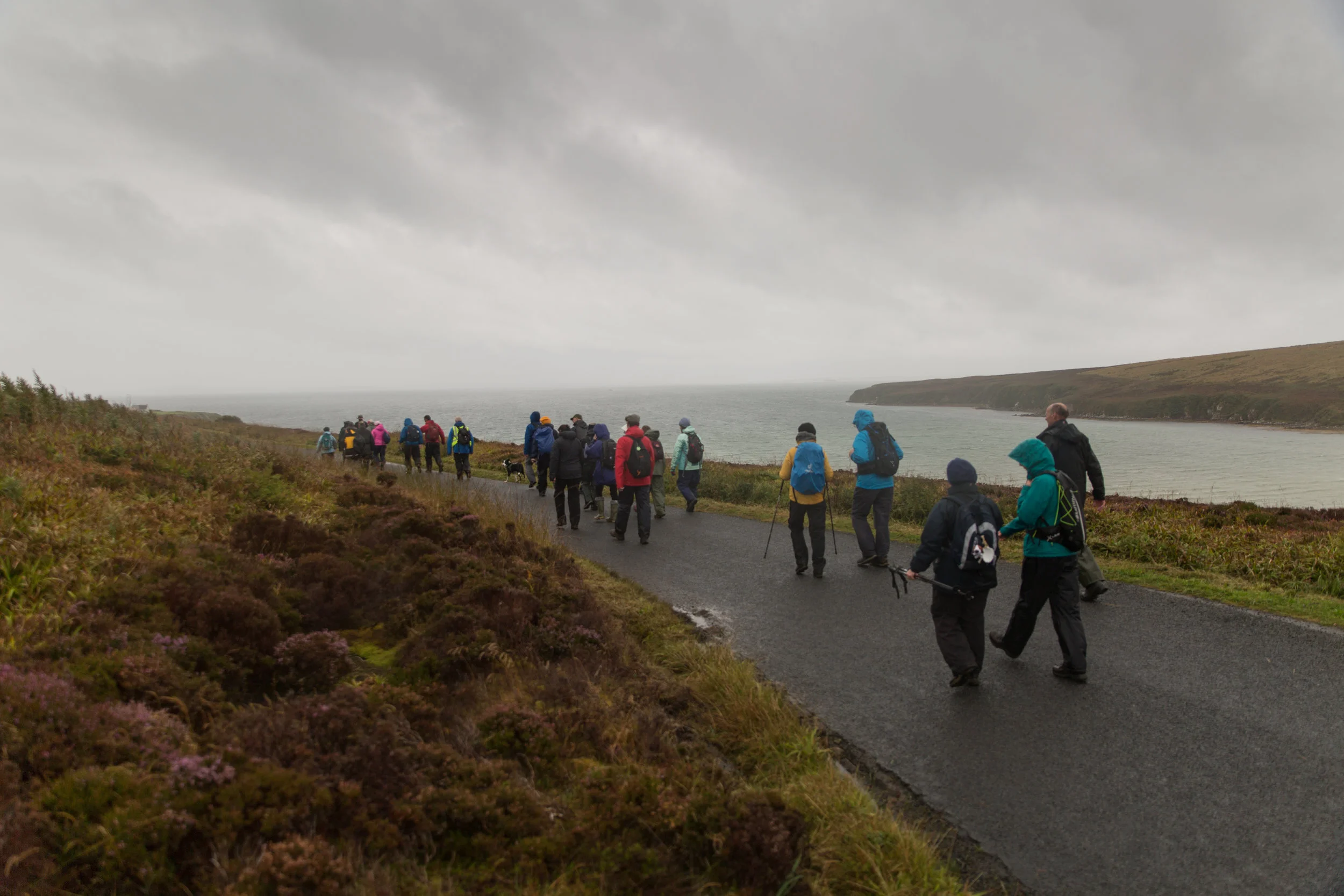 St Magnus Way walkers heading past Waulkmill bay in Orphir