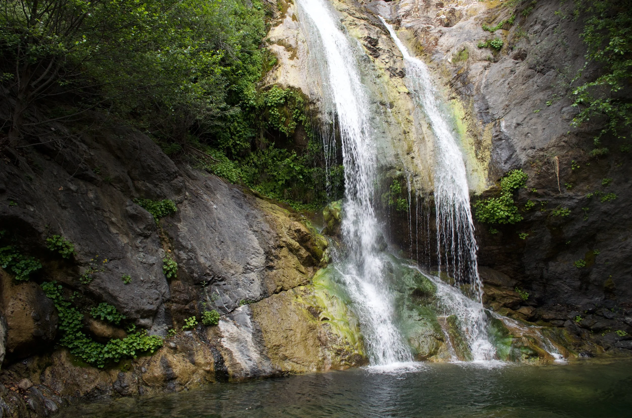 _DSC0556