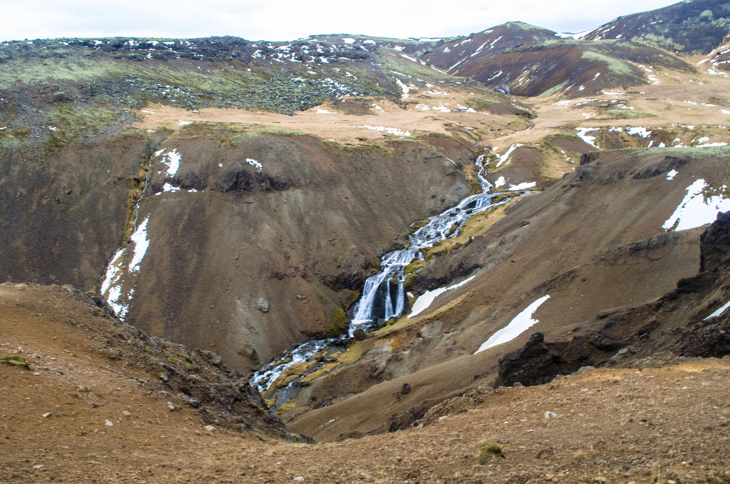 _dsc0415