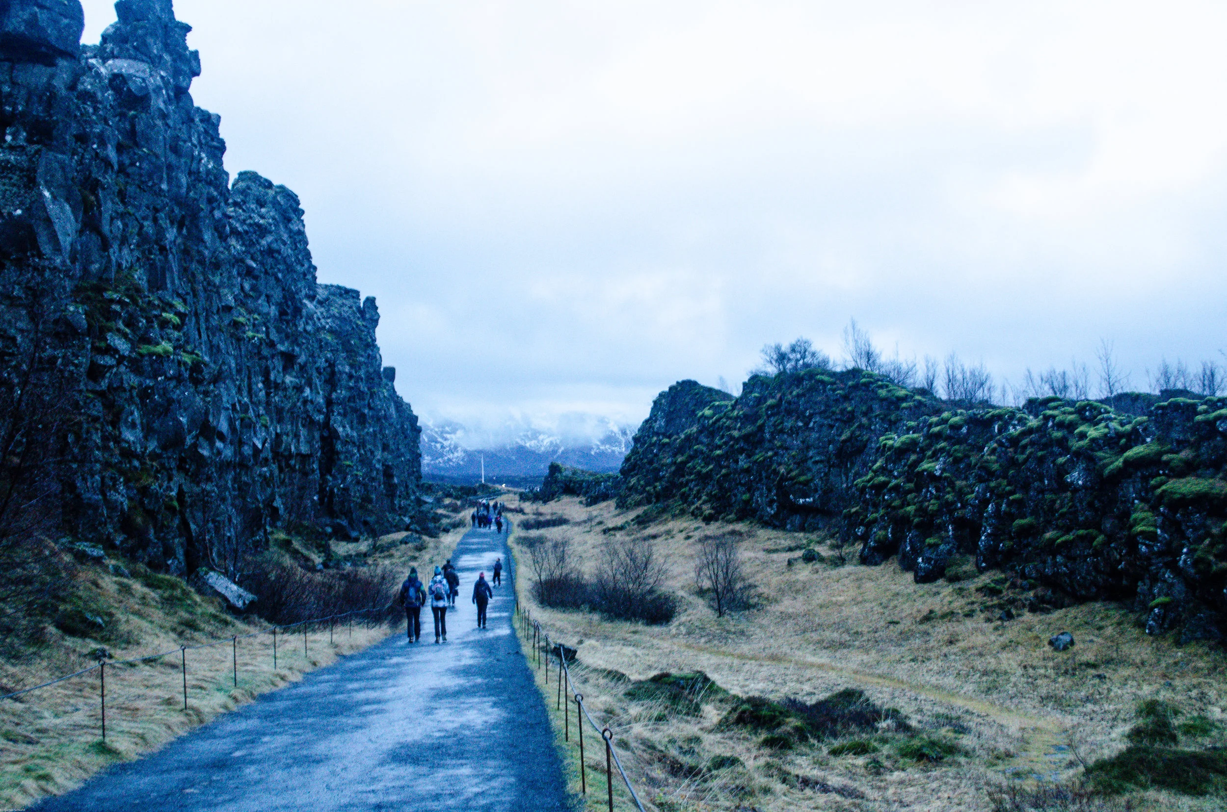 _dsc0470