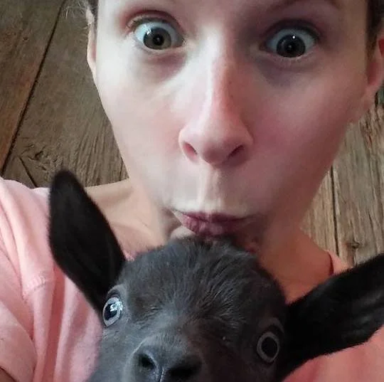 Gentle Goat Yoga & Cuddle Time - February 14, 2026 at noon