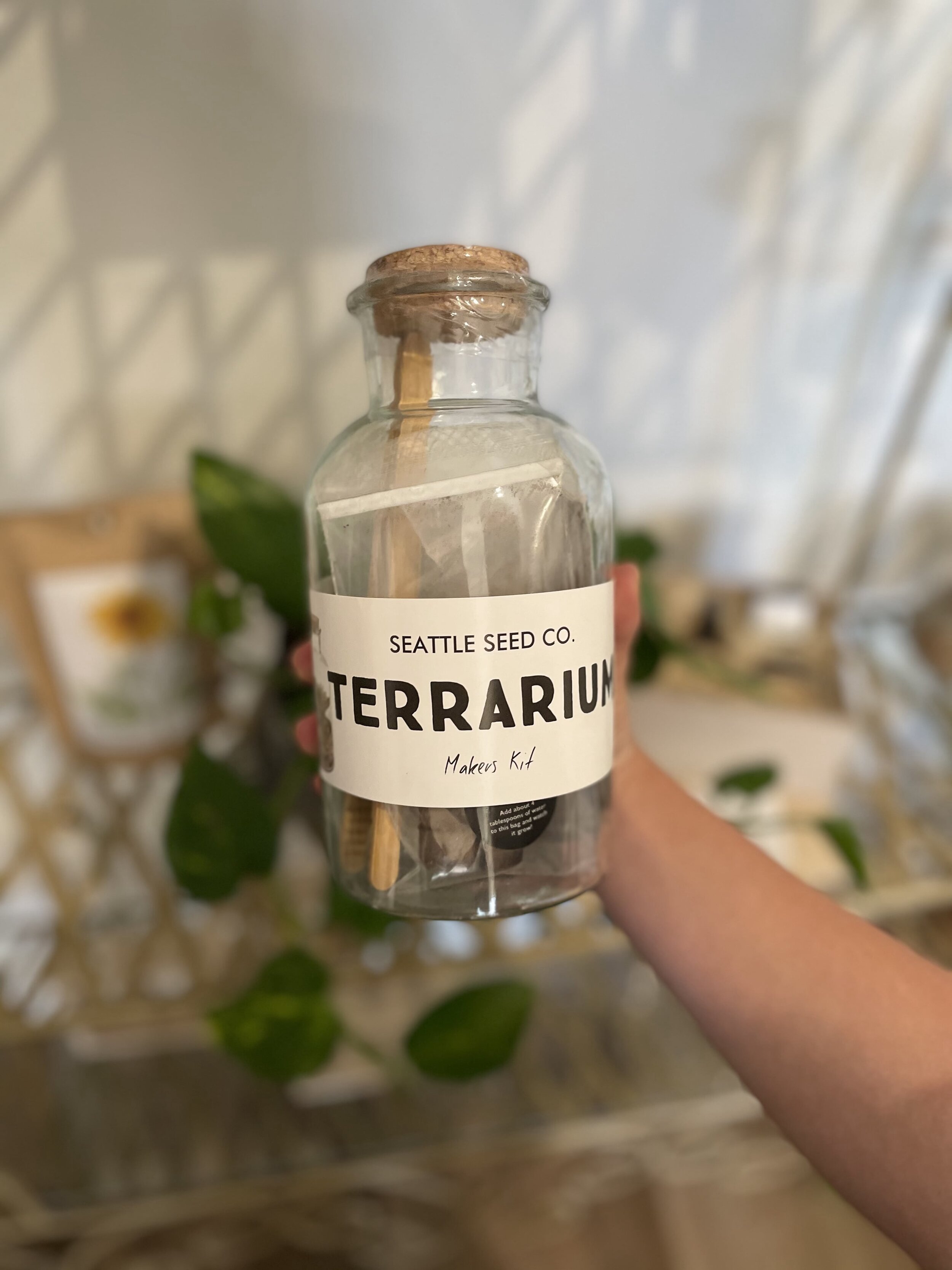 Terrarium Kit - Seattle Seed Co.