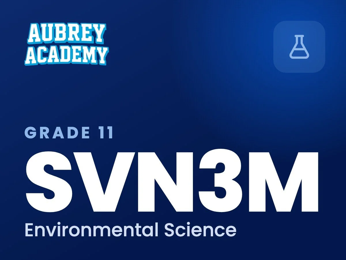 SVN3M