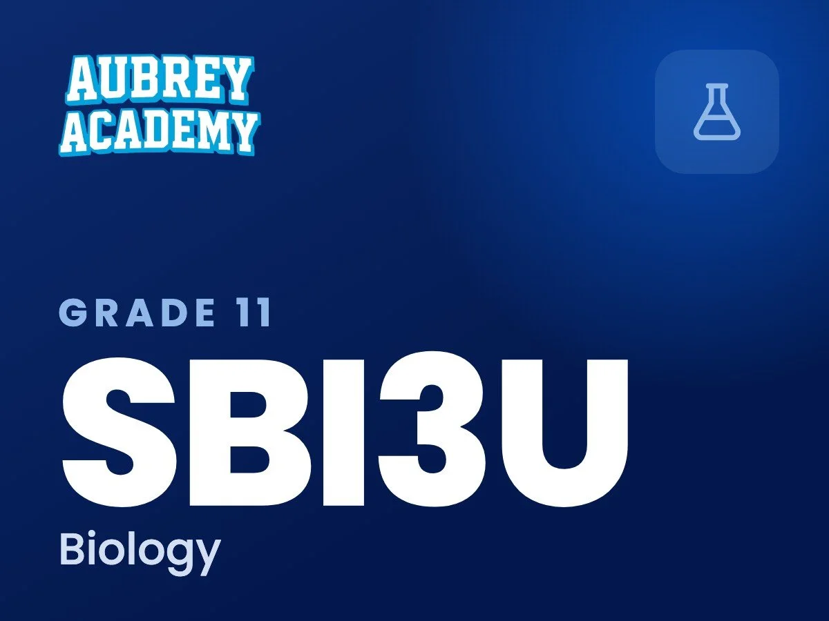 SBI3U
