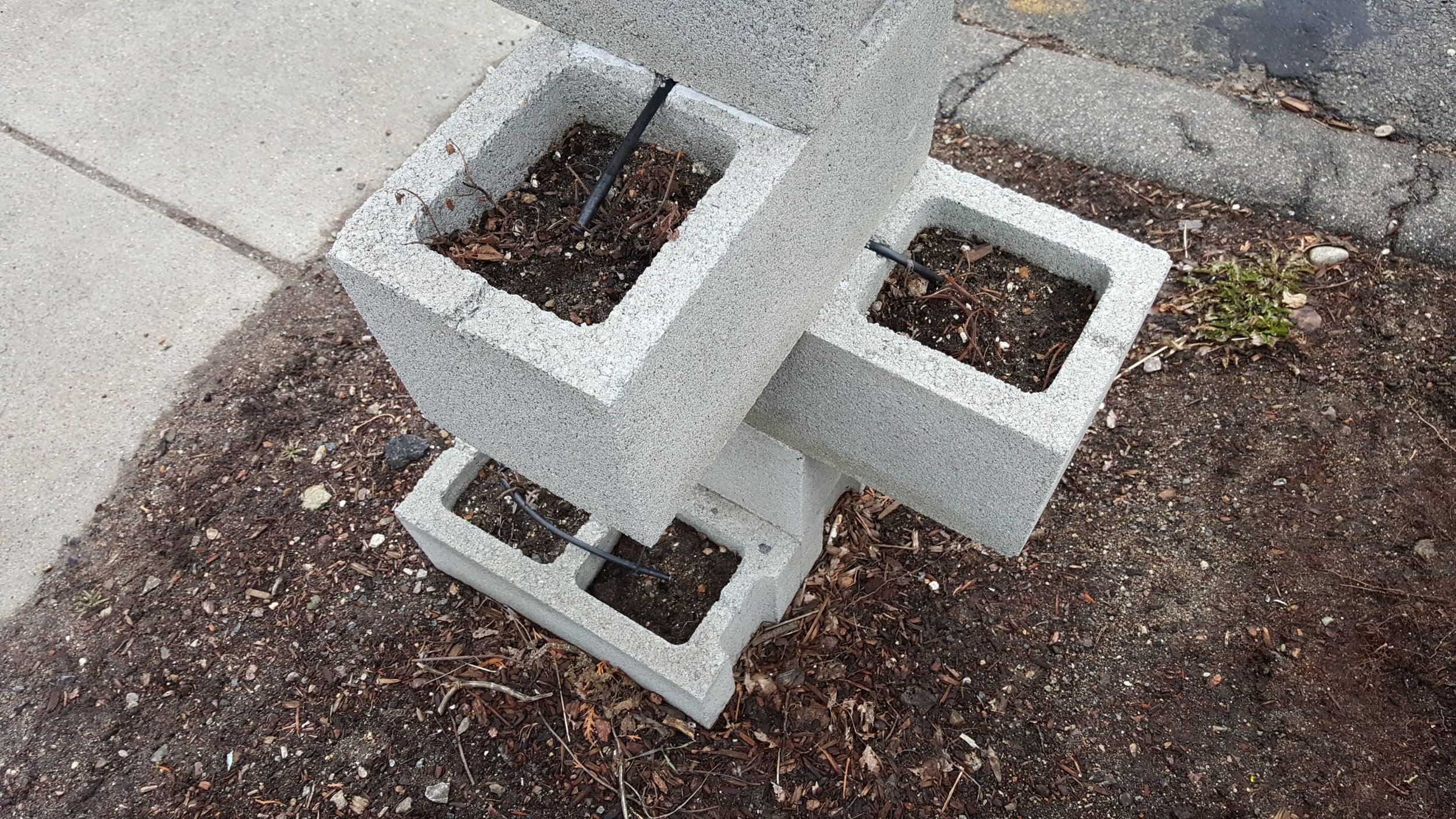 20170325_140607.jpg