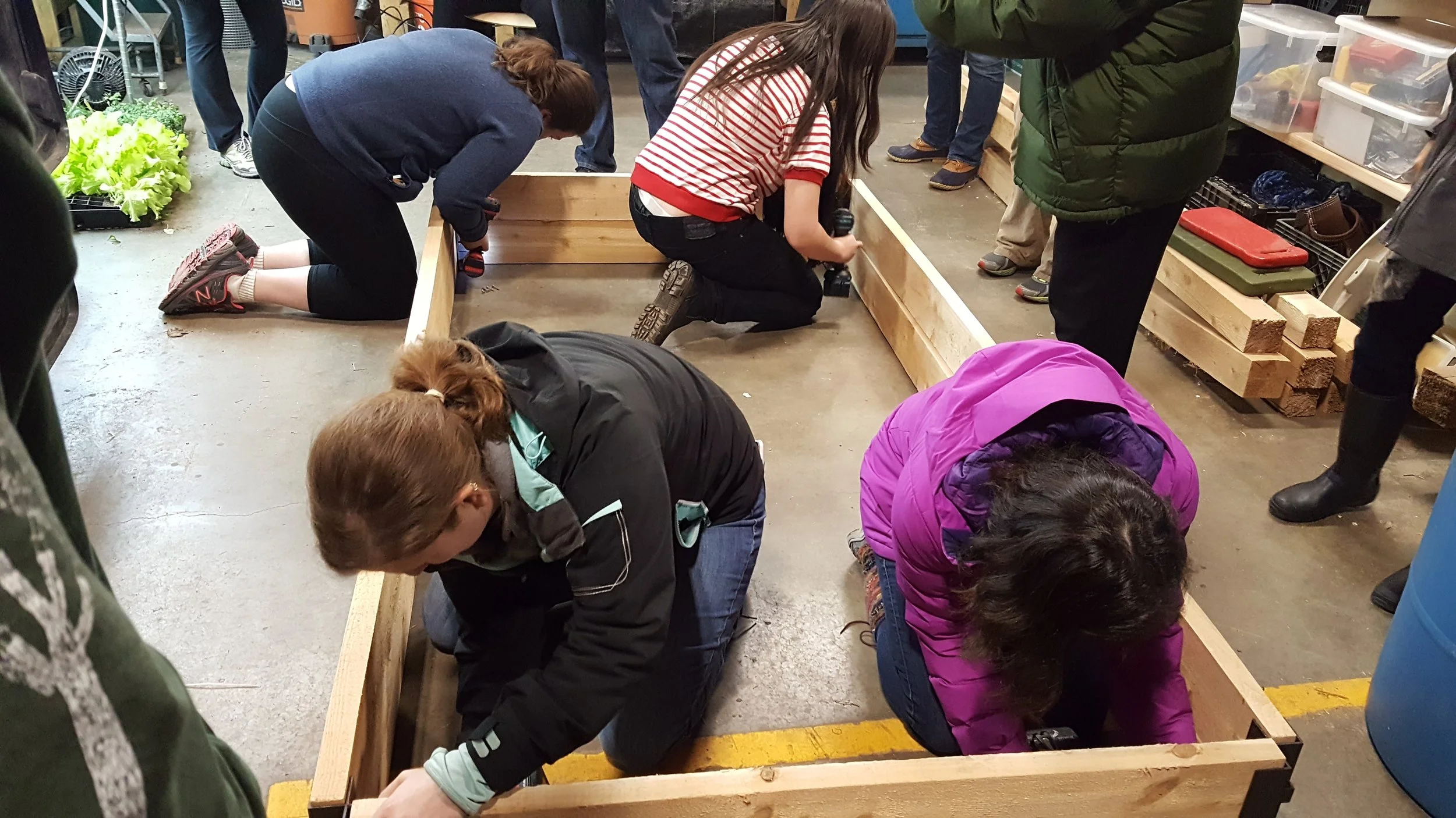 2017 Somerville Urban Agriculture Ambassadors building a cedar raised bed. Photo by Eva Leung