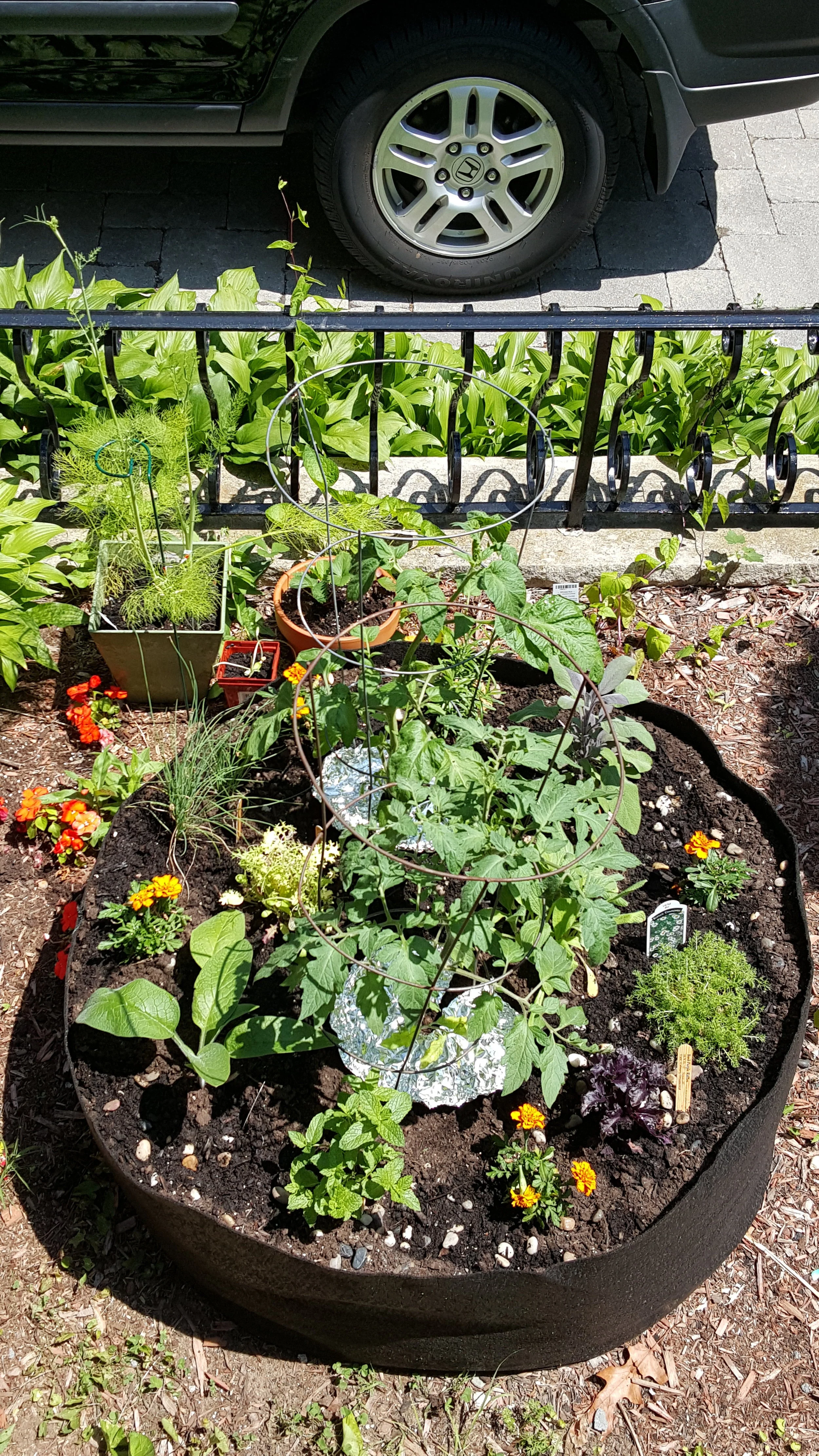 Smart Pot - Fabric Raised Beds. Come in various sizes, the small ones that could be easily relocated are essentially containers. This is the setup in my tiny front yard, just enough for a 3' diameter smart pot. I have about 12 plants in this bed, transplanted from a mini-herb spiral demonstration pot shown below. It is small, but highly productive! There is Comfrey, Marigold, Chamomile, Chives, Mint, Purple Sage, Tomatoes, Rosemary, Mesclun Greens. Photo by Eva Leung