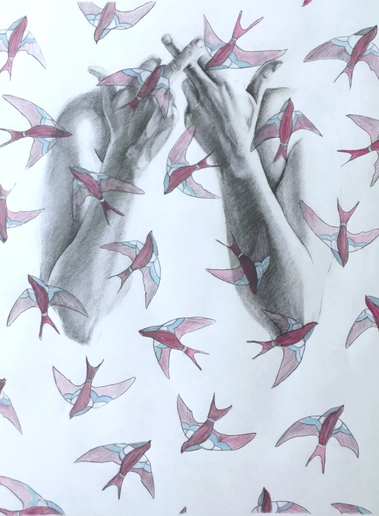 All The Pretty Birds Are Boy Birds Acrylic, Graphite on paper, 2017