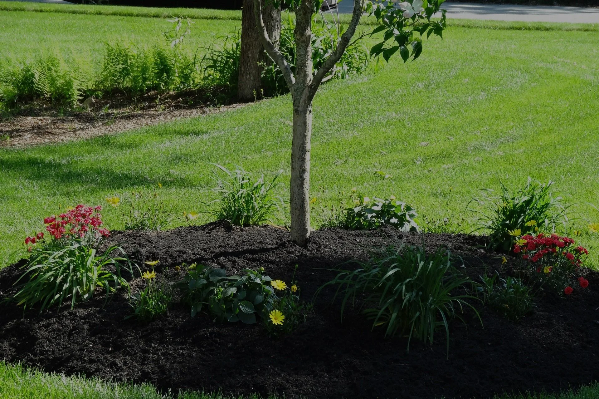 Landscape Design Needham MA.jpeg