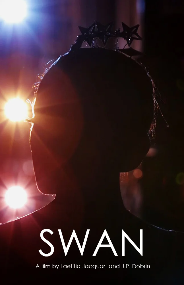 SWAN_poster_web copy.jpg