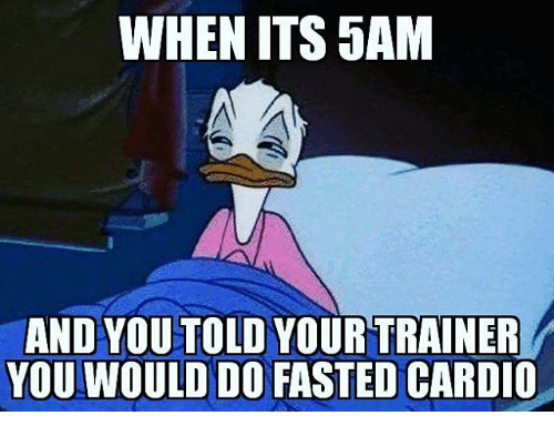 Fasted cardio