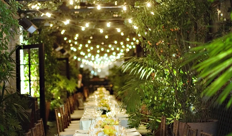 AARONSON SETUP IVORY Garden A, B.jpg