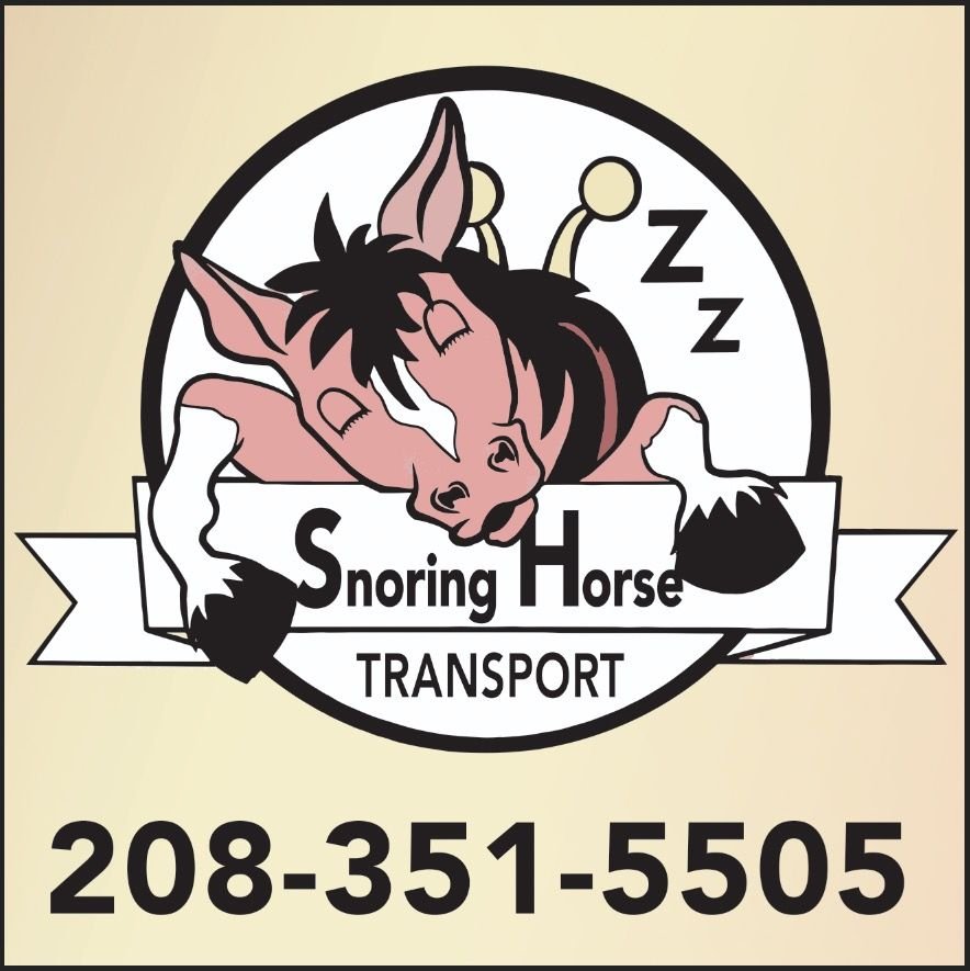 Snoring Horse Transport Logo.jpeg