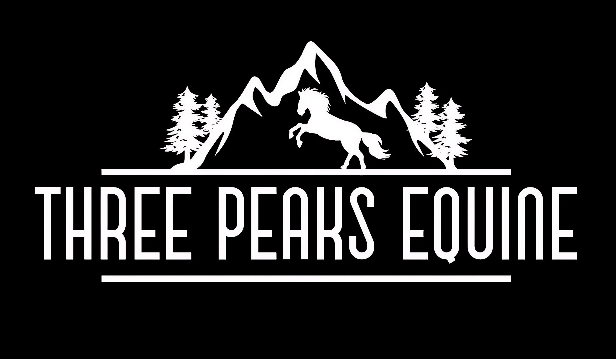 threepeaksequine-cropped.jpeg