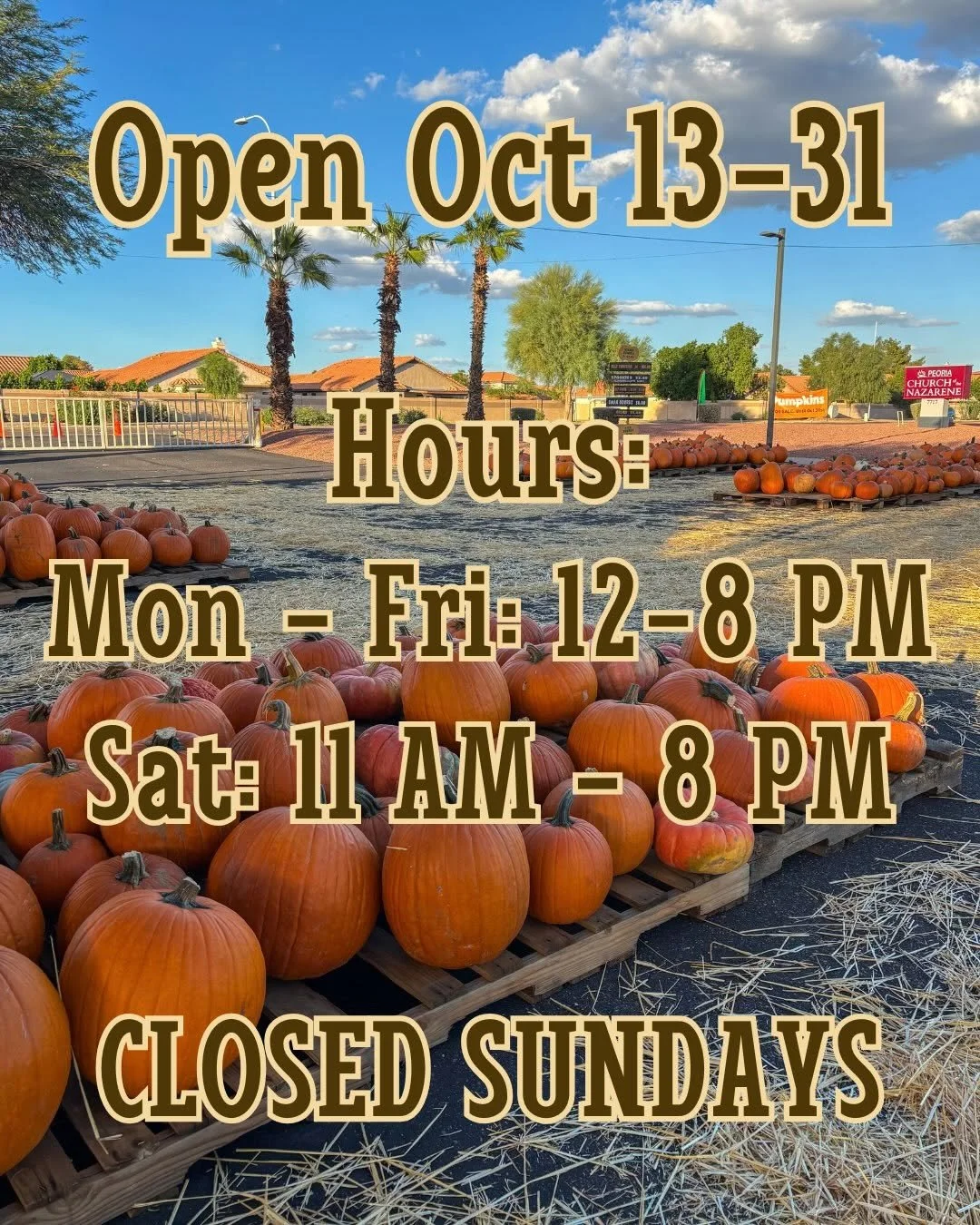 Pumpkin Patch Schedule.jpg