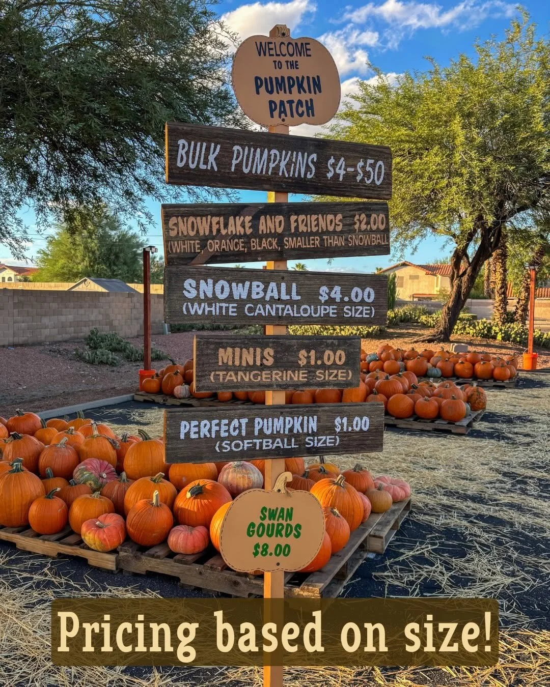 Pumpkin Patch Pricing.jpg