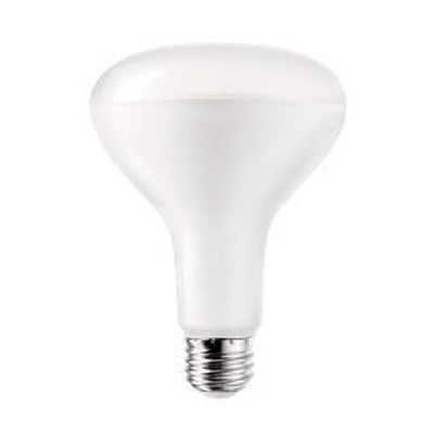 LED BR Lamp Series