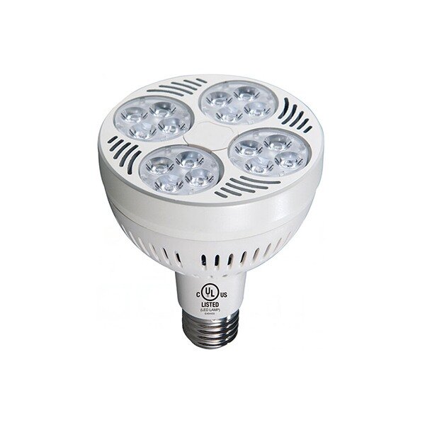 LED PAR30D Bulb – 35W