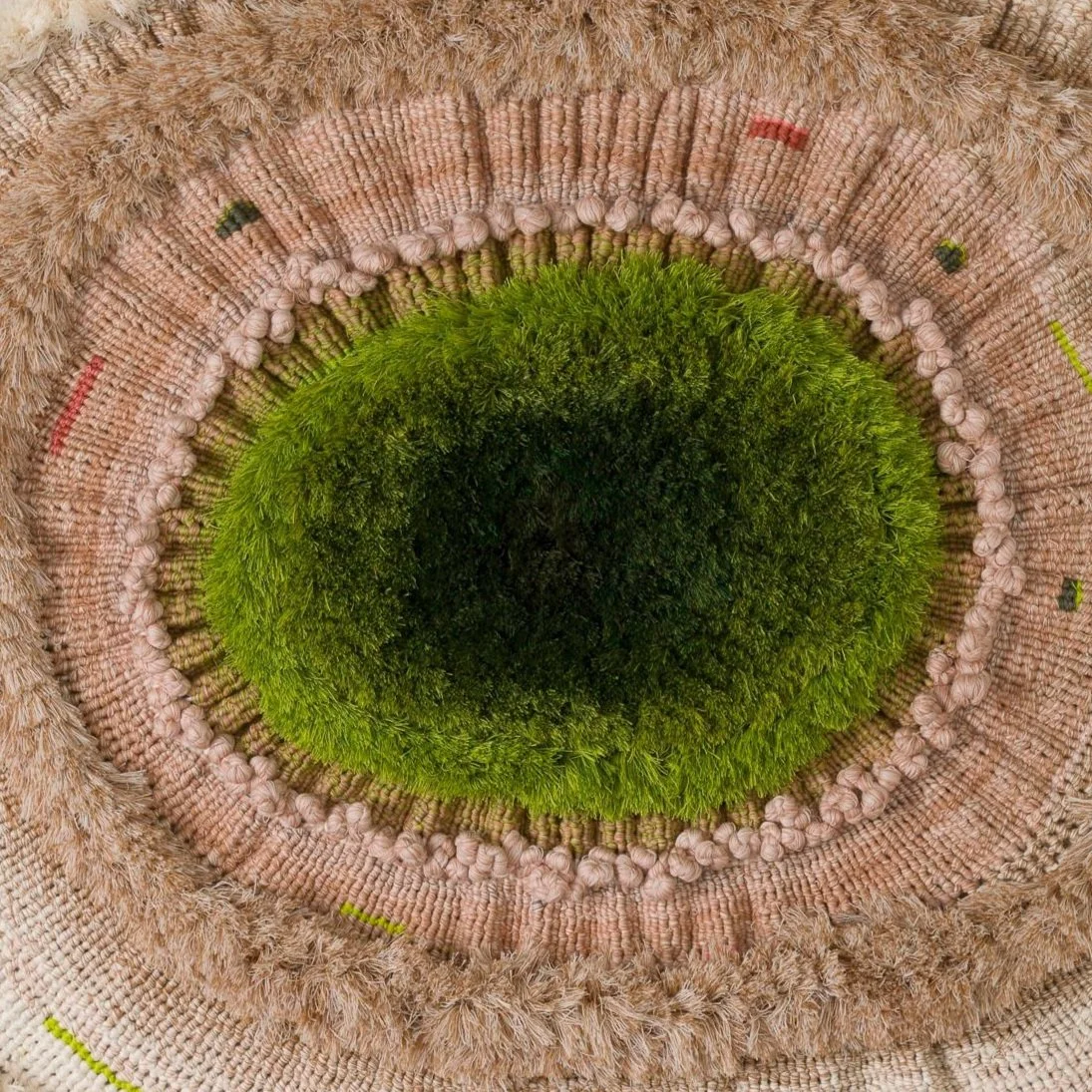 Collections Summer Dream 2025.jpg