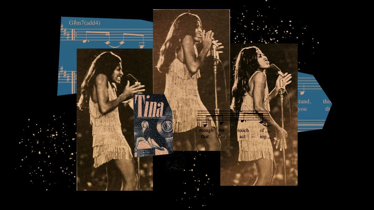 NWLC_Blog_TinaTurner.jpg