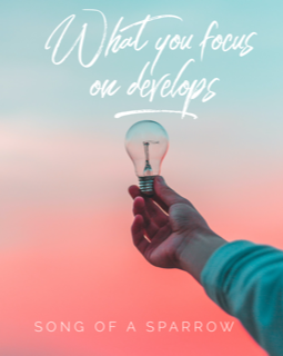 focus .PNG