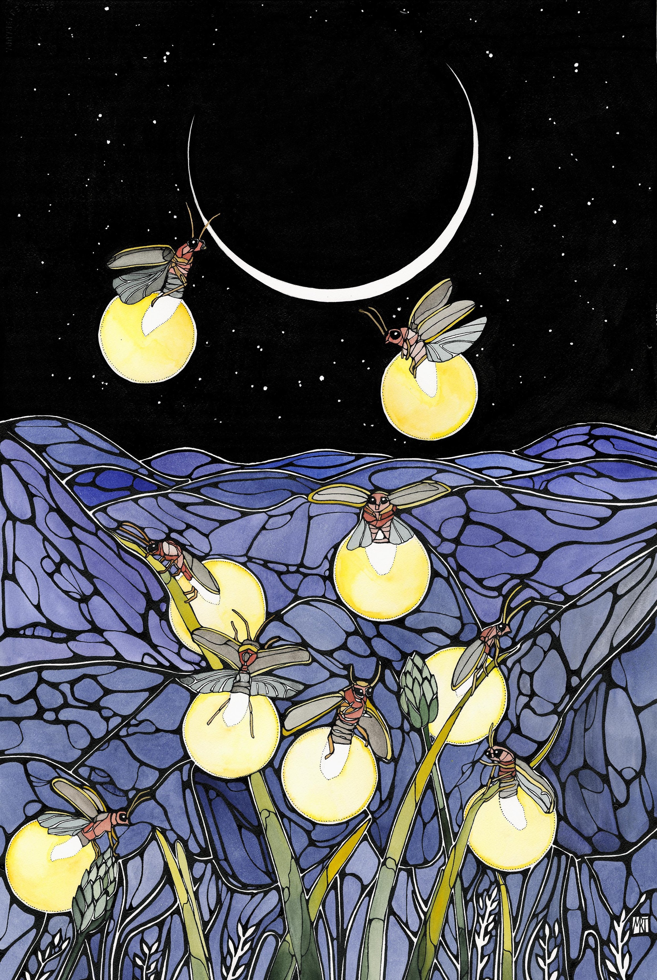 fireflies 11x14.jpg