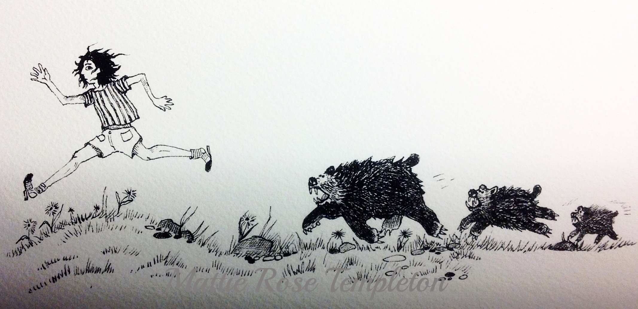 Bears