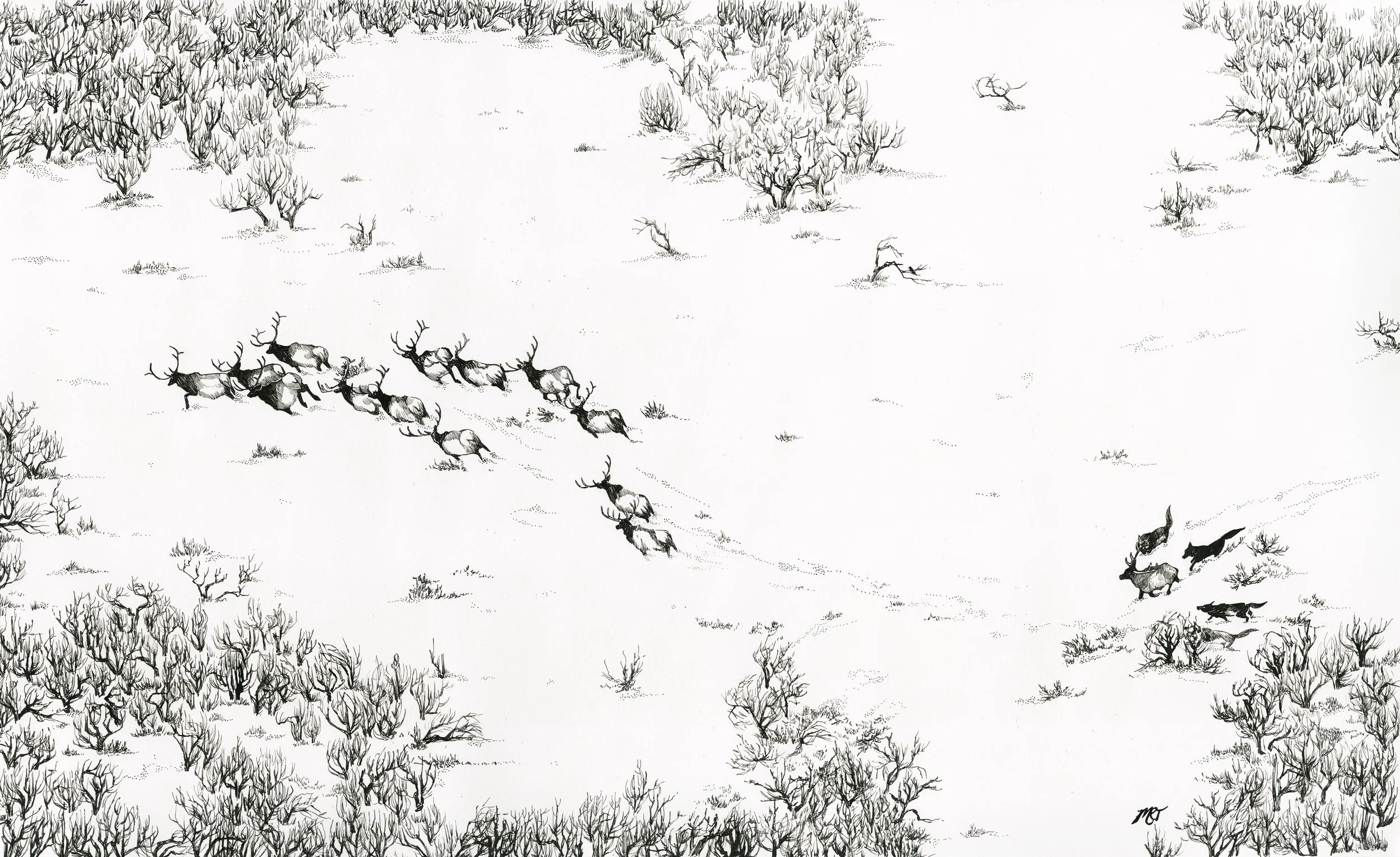 chasingreindeer.jpg