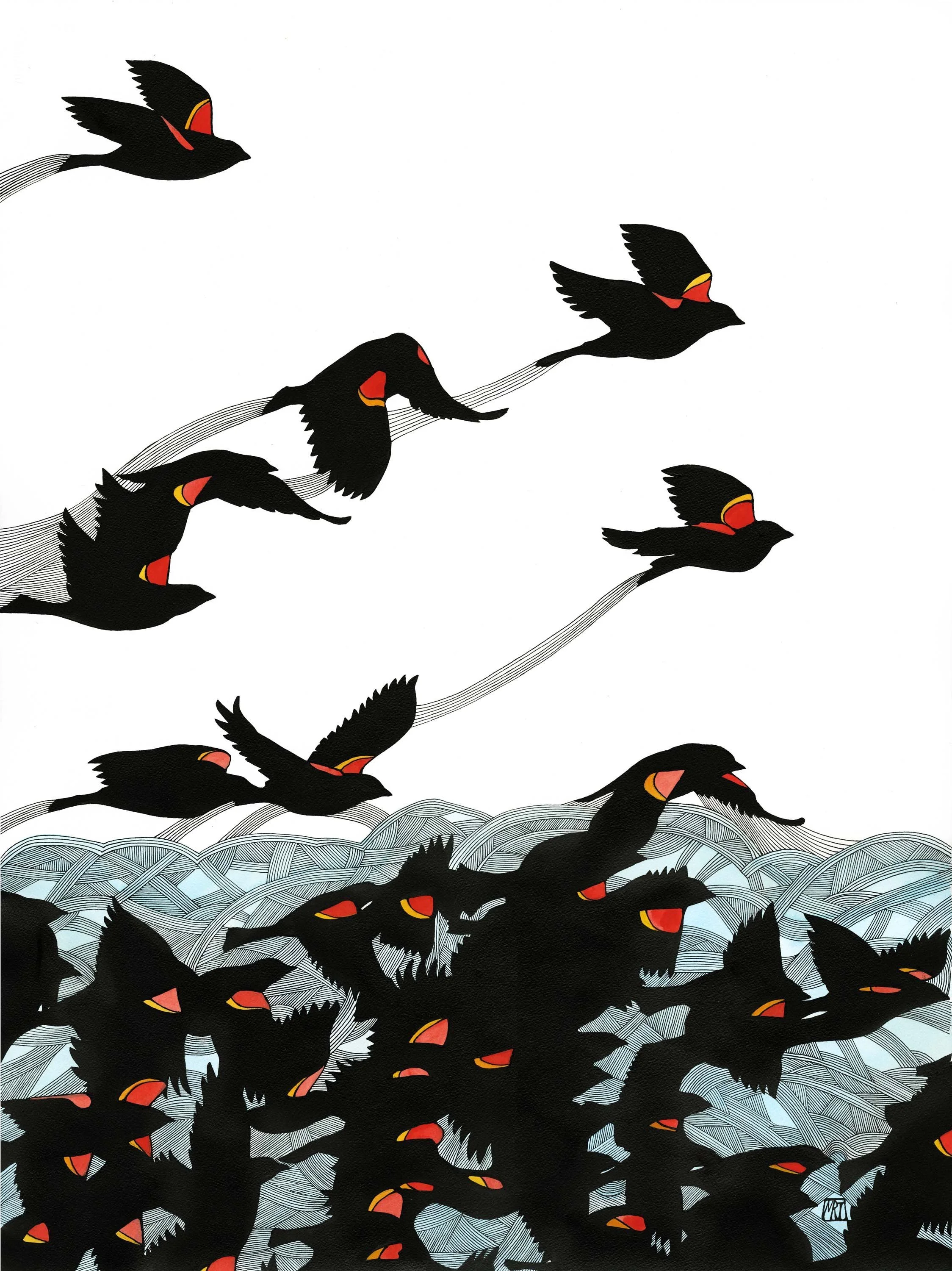 red+winged+black+bird.jpg
