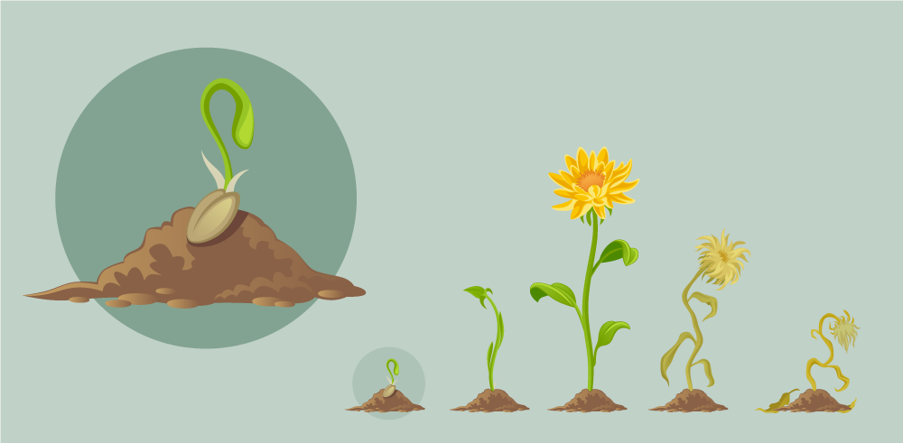 blog_lifecycle_01.png
