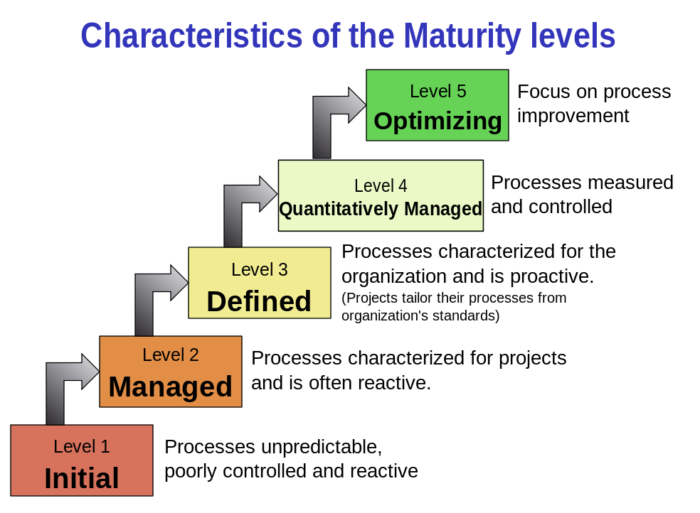 A basic maturity model