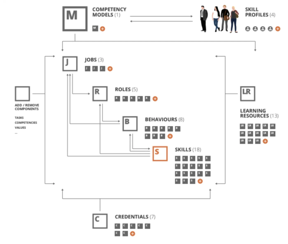 The structure of a competency model