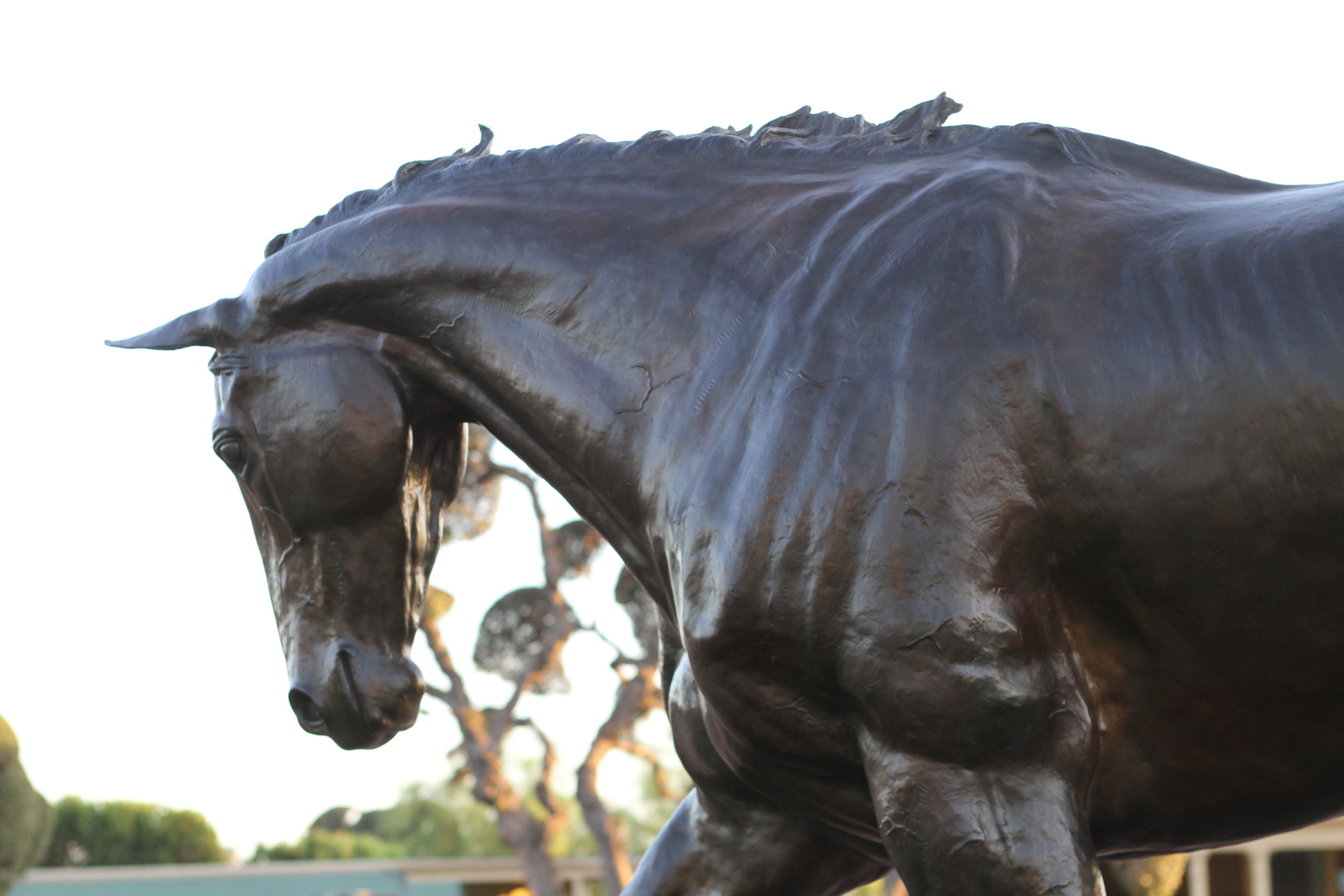 horse-statue-bronze-sculpture-zenyatta