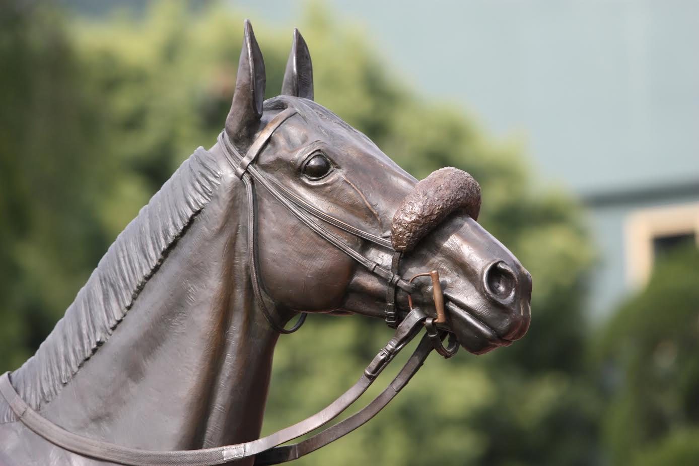 horse-bronze-statute-equine-sculpture-nina-kaiser-john-henry